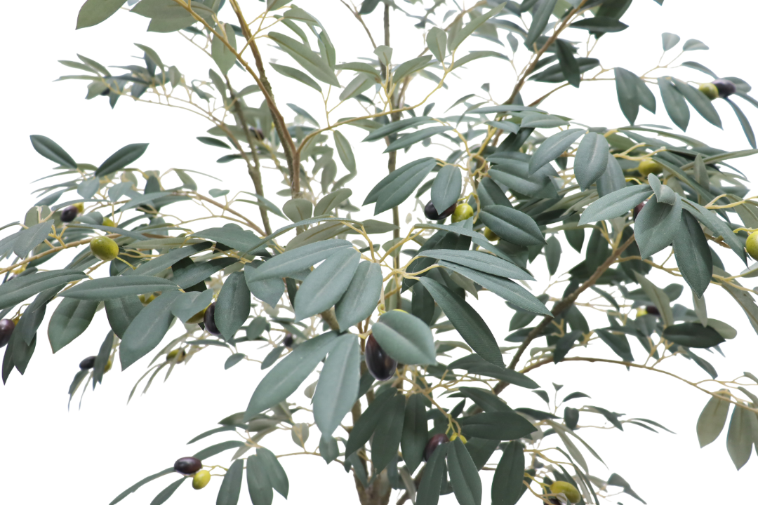 Artisan Olive Tree | Natural Wood Trunk & Mediterranean 6'