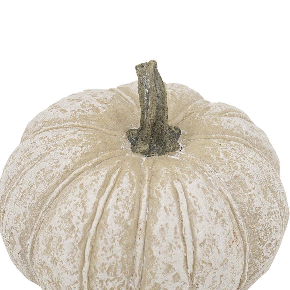 White Pumpkin