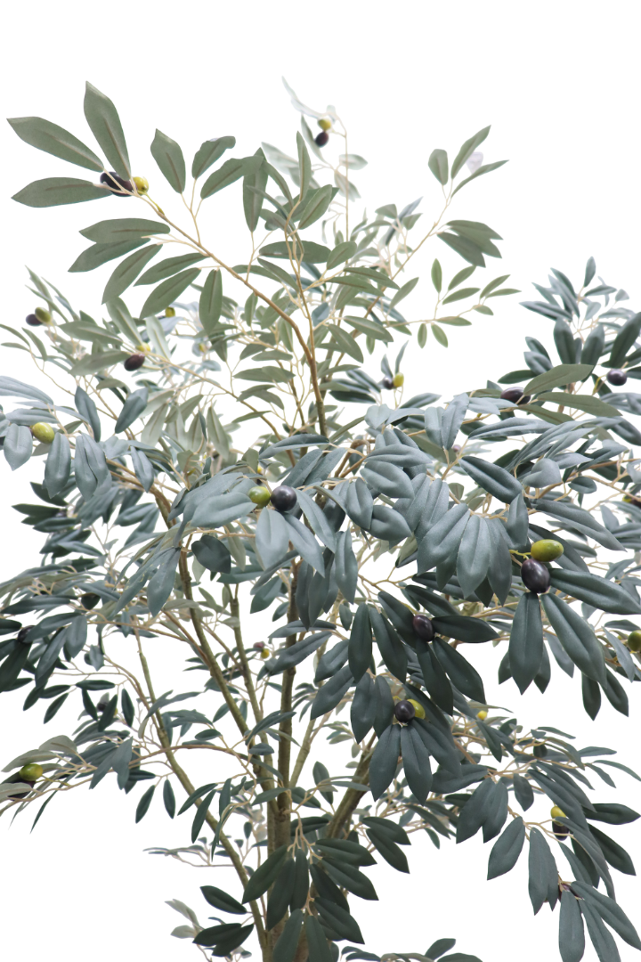 Grand Artisan Olive Tree | Natural Wood Trunk & Realistic 7'