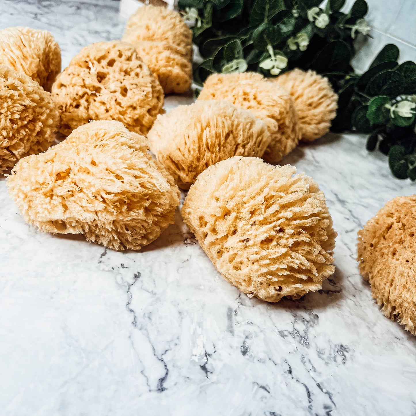 Dead Sea Sponge, All Natural Body Wash Loofah