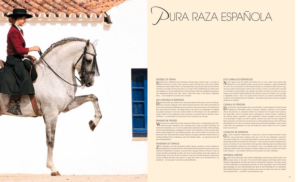 World's Most Beautiful Horses (HC)