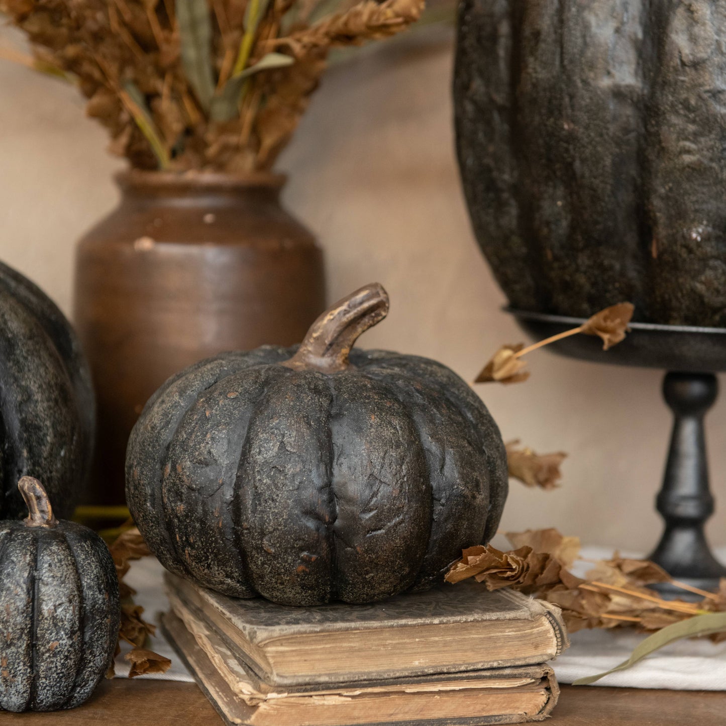 BLACK SHORT PUMPKIN
