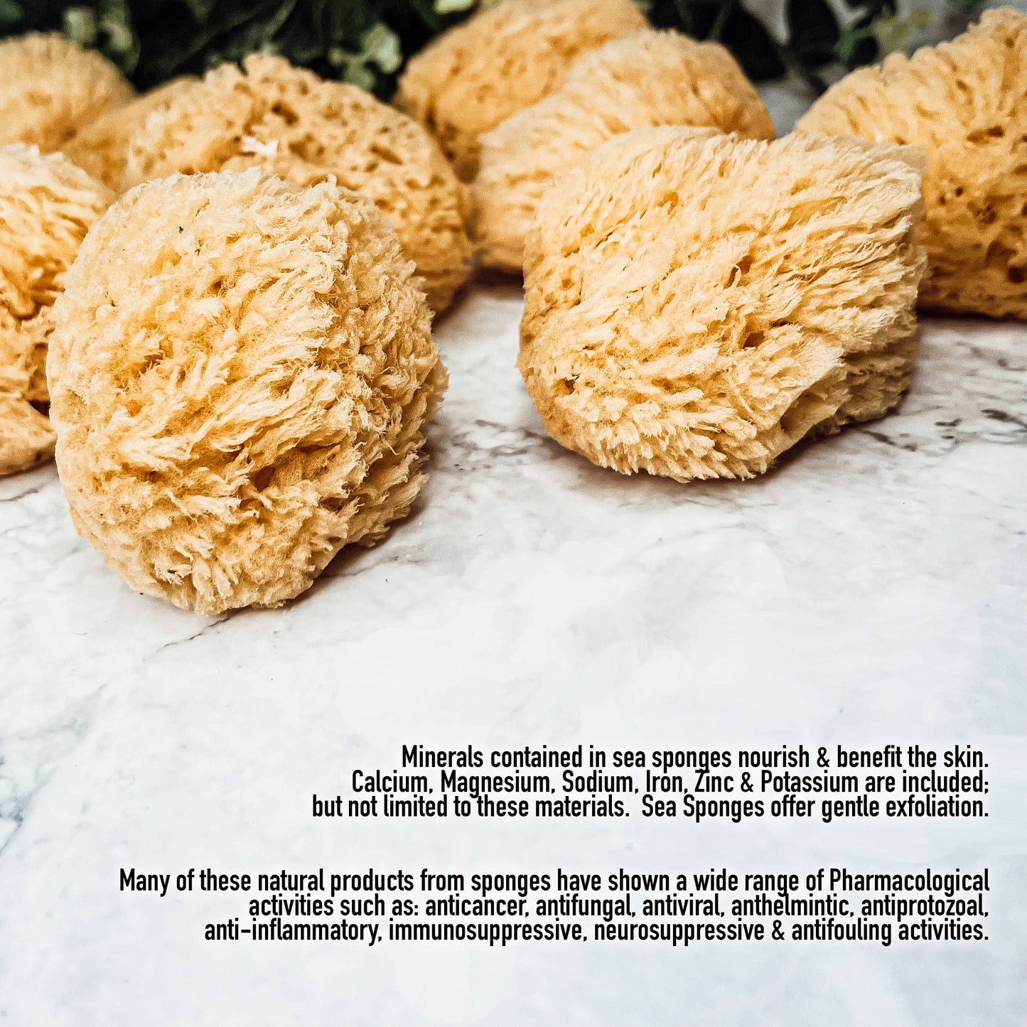 Dead Sea Sponge, All Natural Body Wash Loofah