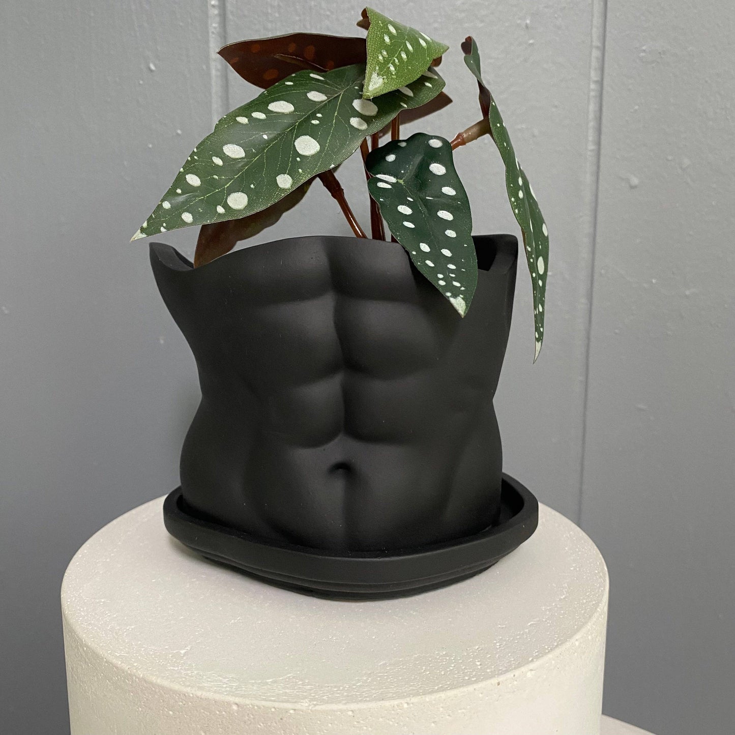SIXPOT - Men Body Pot | Concrete Man Torso | Men Planter