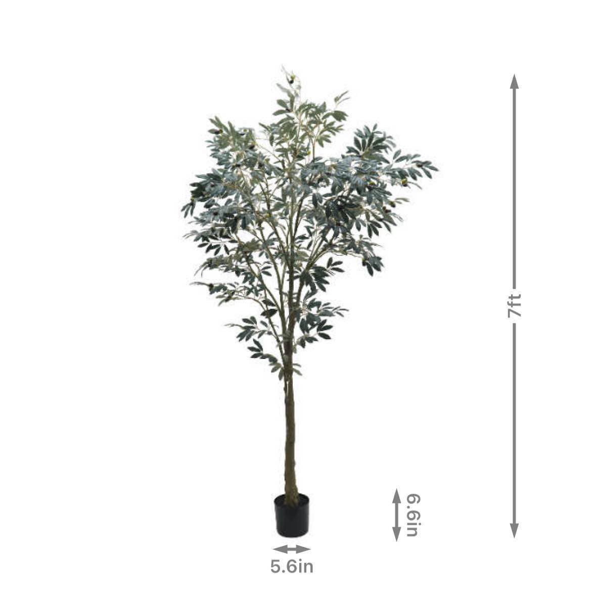 Grand Artisan Olive Tree | Natural Wood Trunk & Realistic 7'