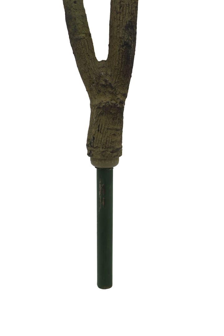 Grand Artisan Olive Tree | Natural Wood Trunk & Realistic 7'