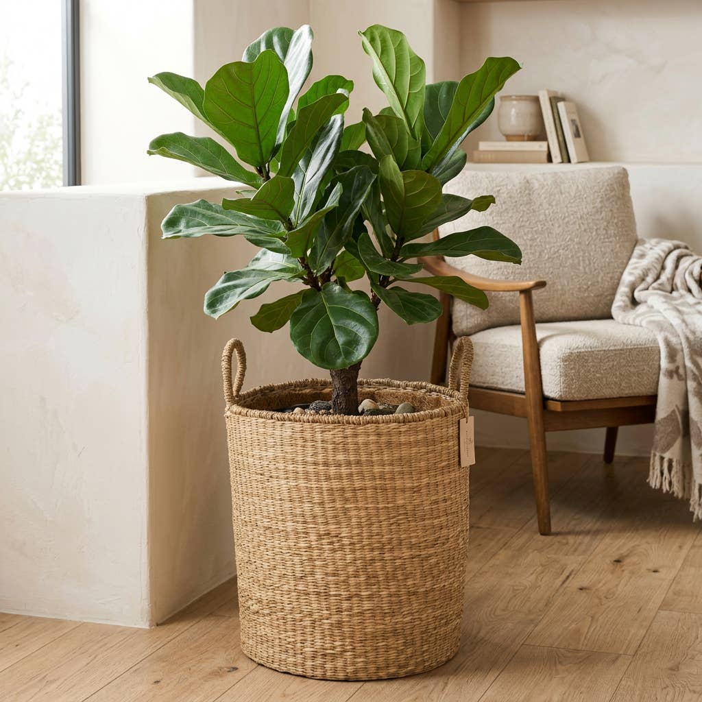 Classic Seagrass Floor Basket with Handles