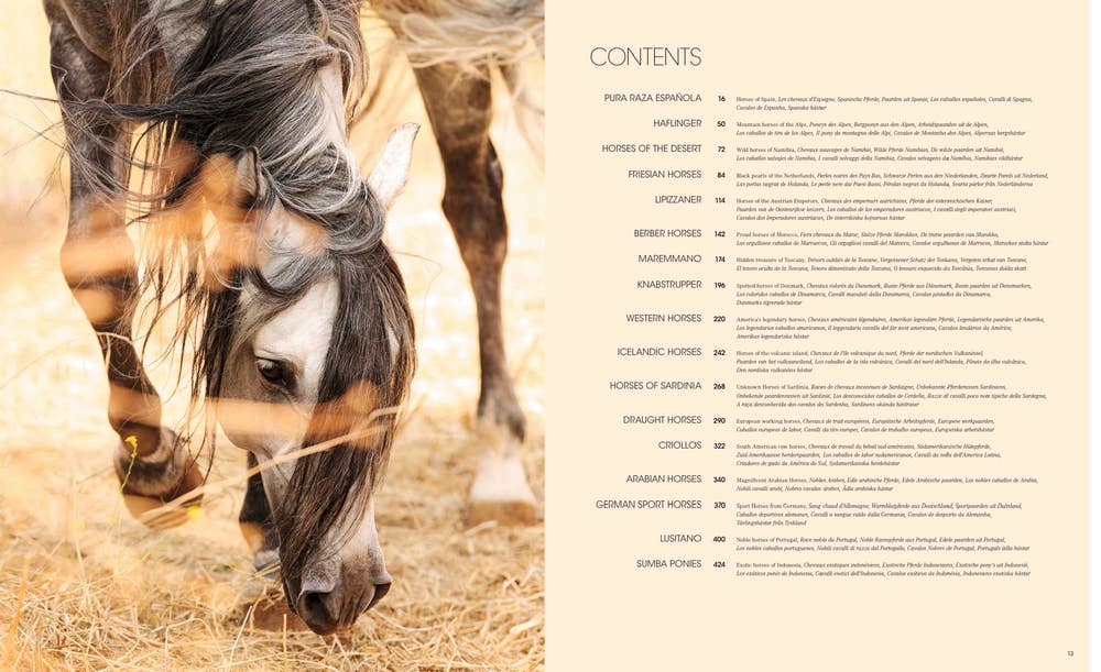 World's Most Beautiful Horses (HC)