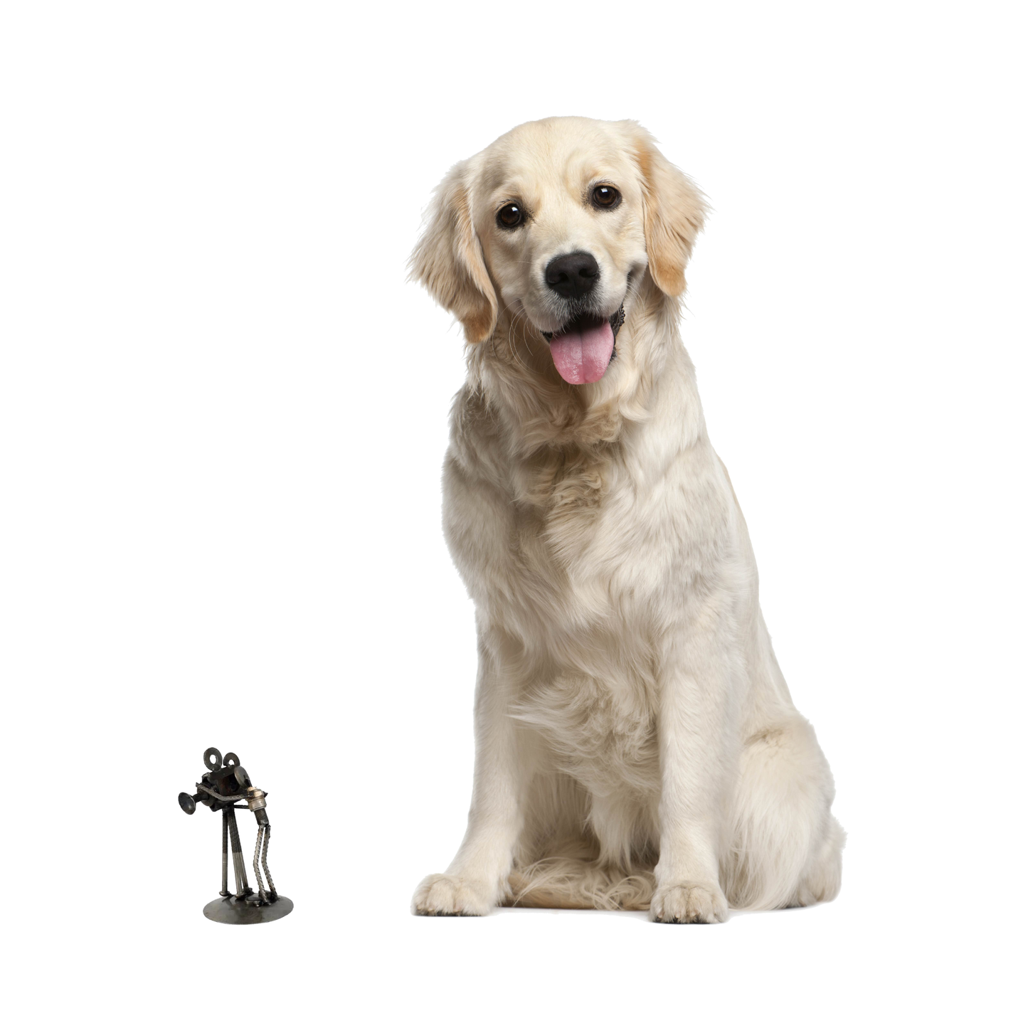 Handmade Rustic Camera Man Iron Statuette