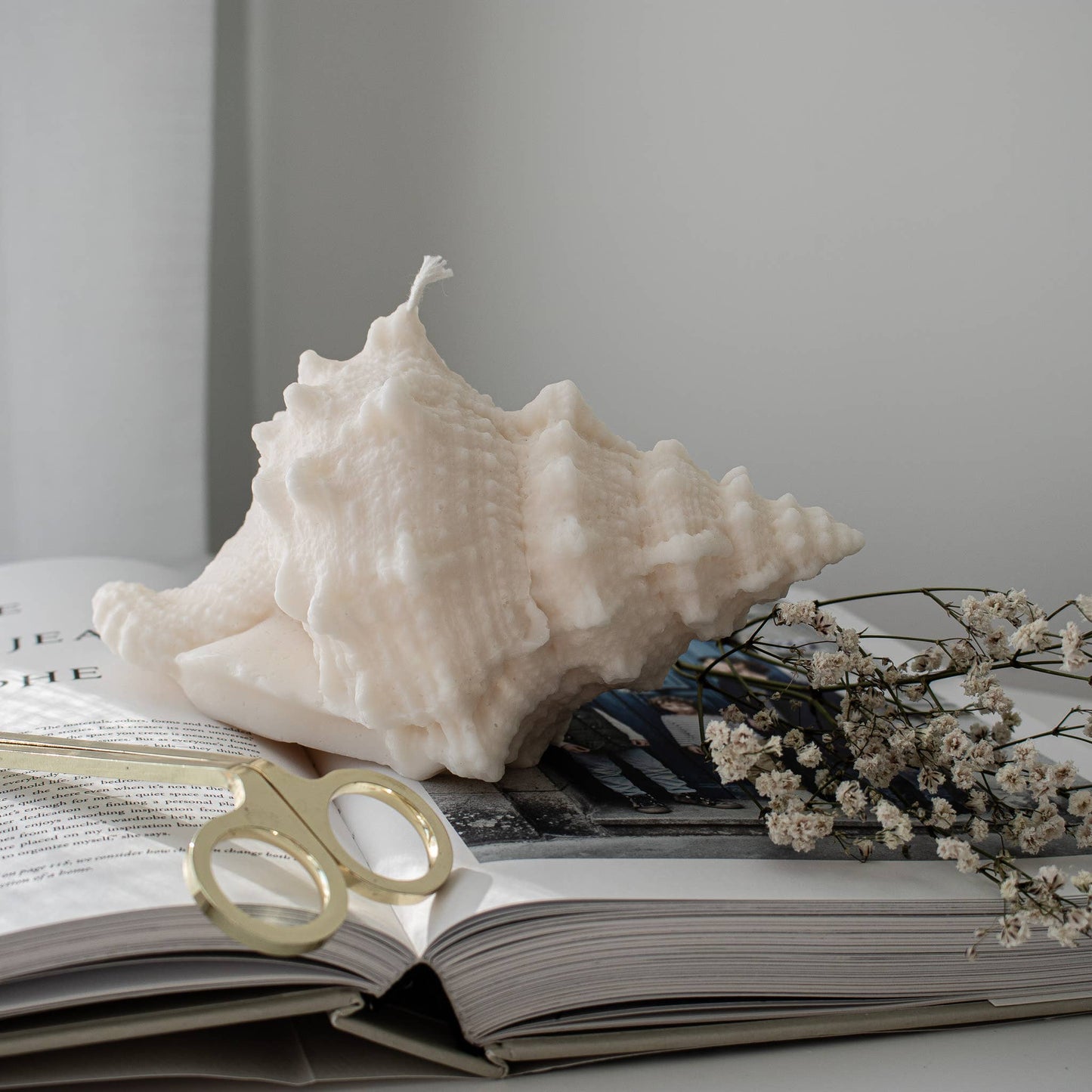 Large Sea Shell (Conch) Candle