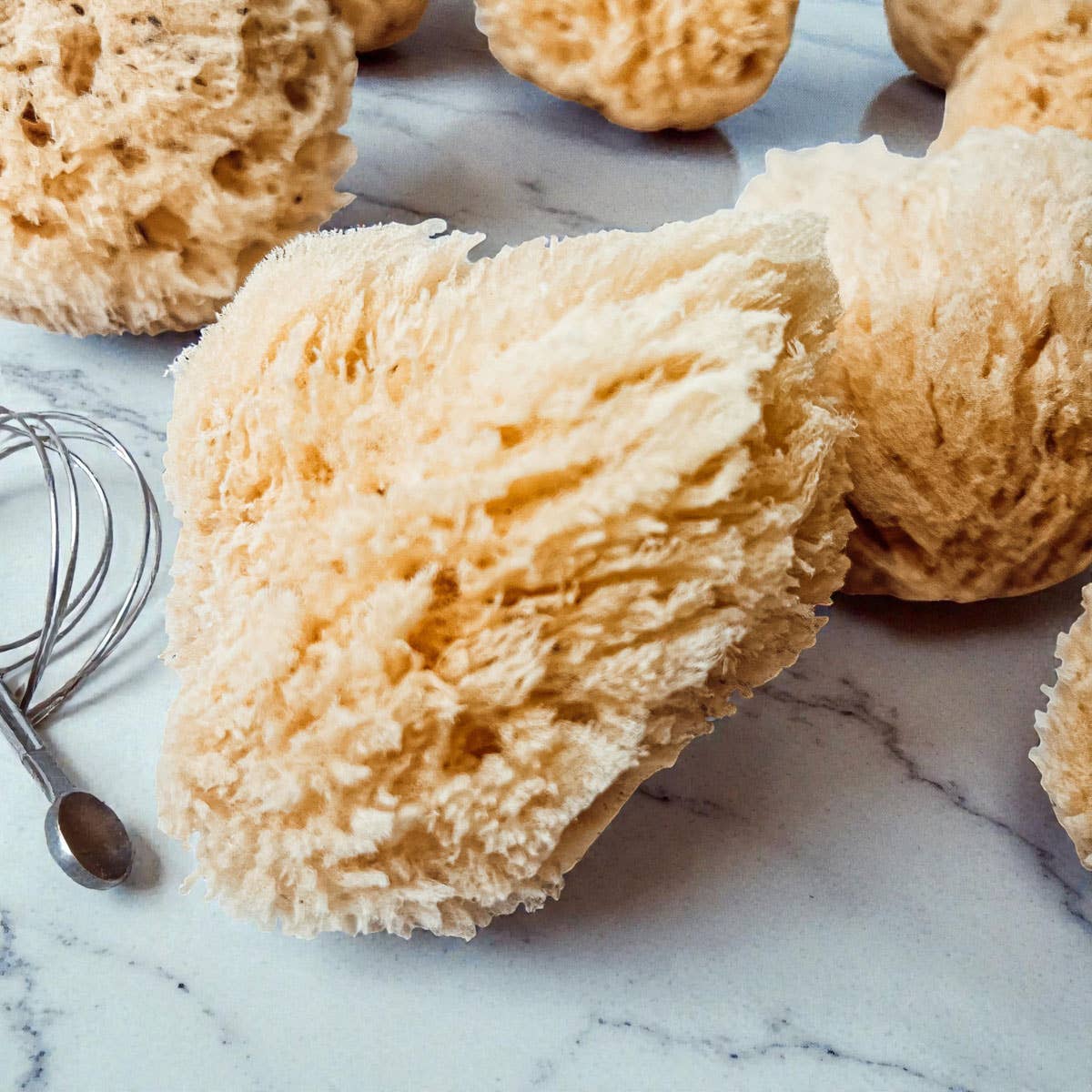 Dead Sea Sponge, All Natural Body Wash Loofah