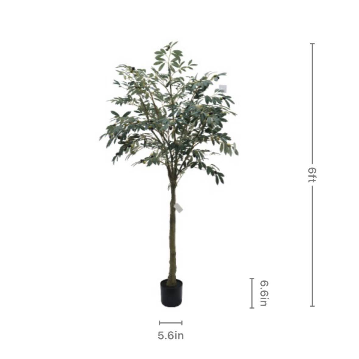 Artisan Olive Tree | Natural Wood Trunk & Mediterranean 6'