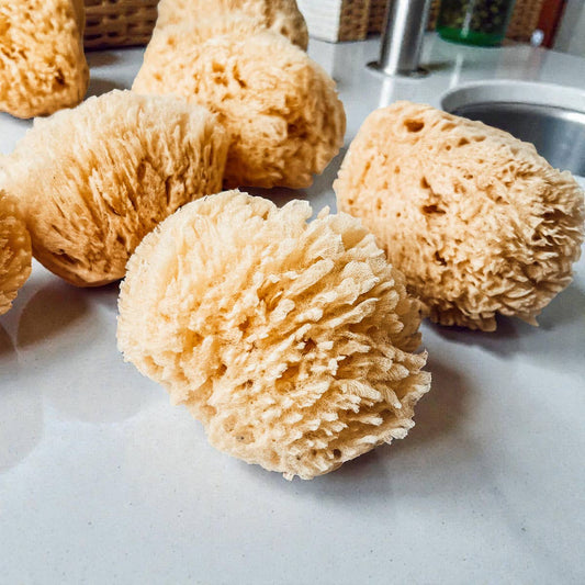 Dead Sea Sponge, All Natural Body Wash Loofah