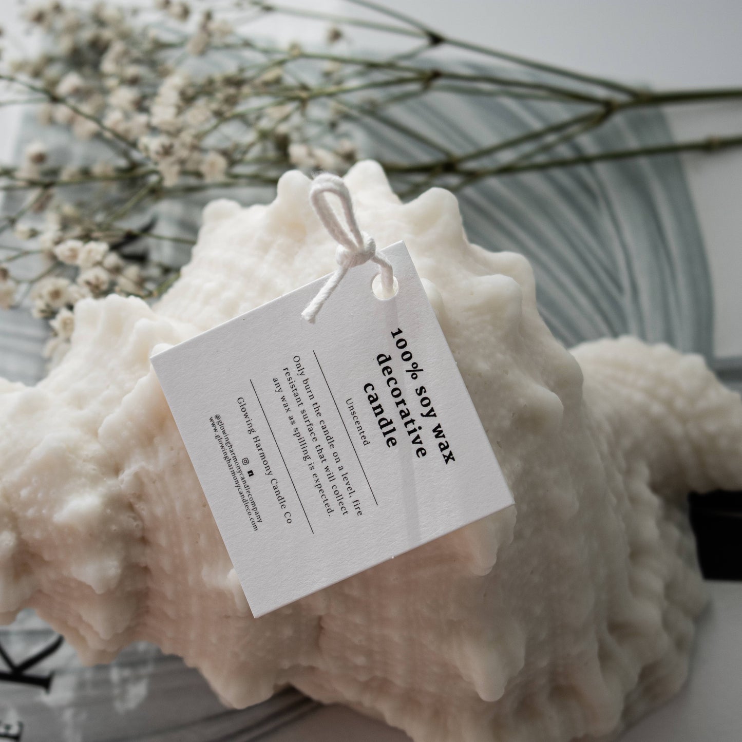 Large Sea Shell (Conch) Candle