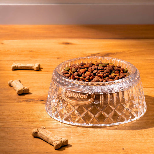 Spoiled Crystal Dog Bowl
