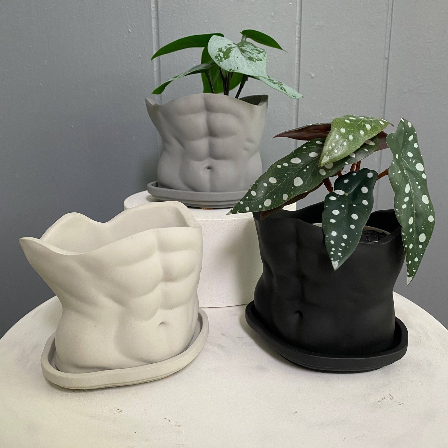 SIXPOT - Men Body Pot | Concrete Man Torso | Men Planter