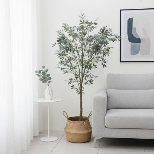 Artisan Olive Tree | Natural Wood Trunk & Mediterranean 6'
