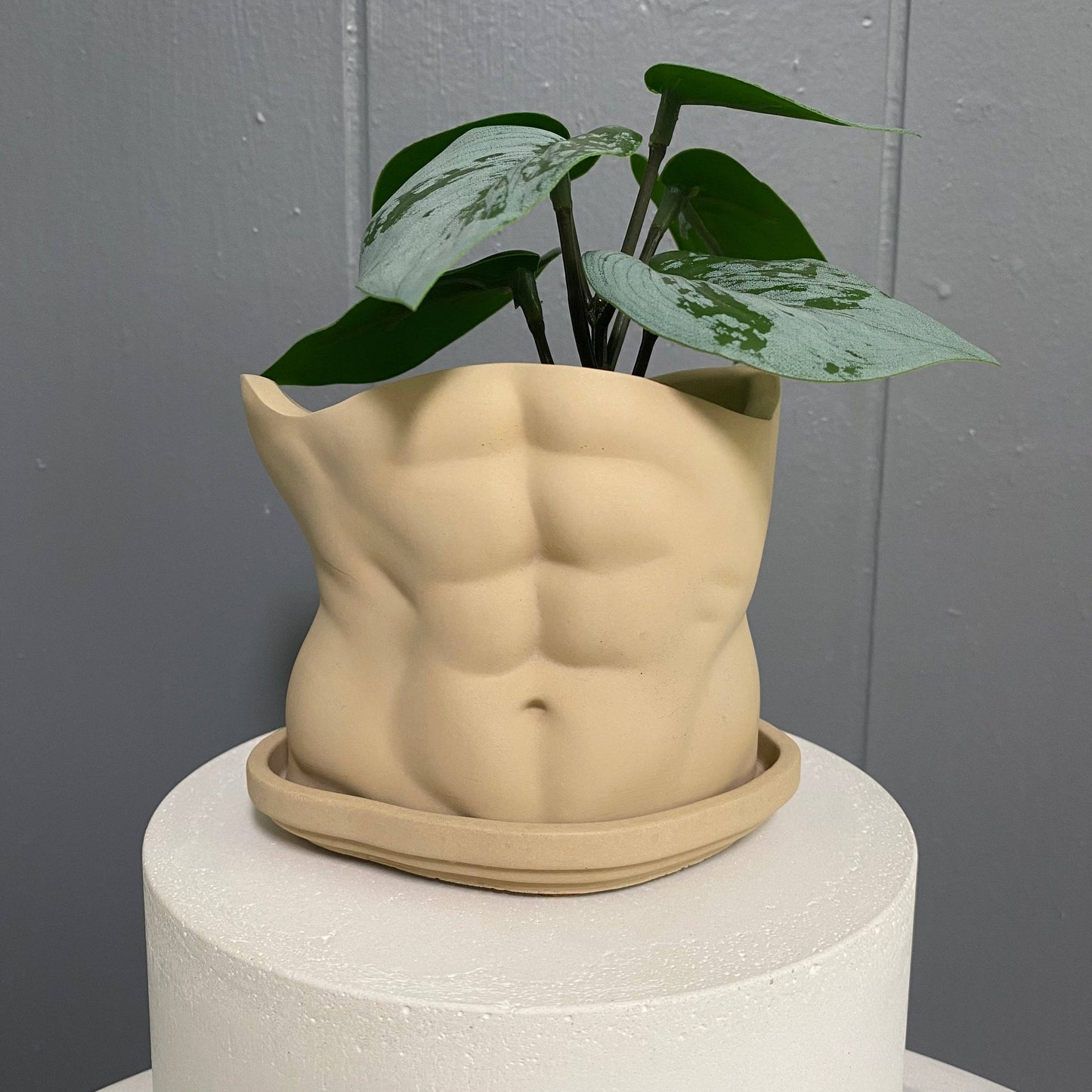SIXPOT - Men Body Pot | Concrete Man Torso | Men Planter