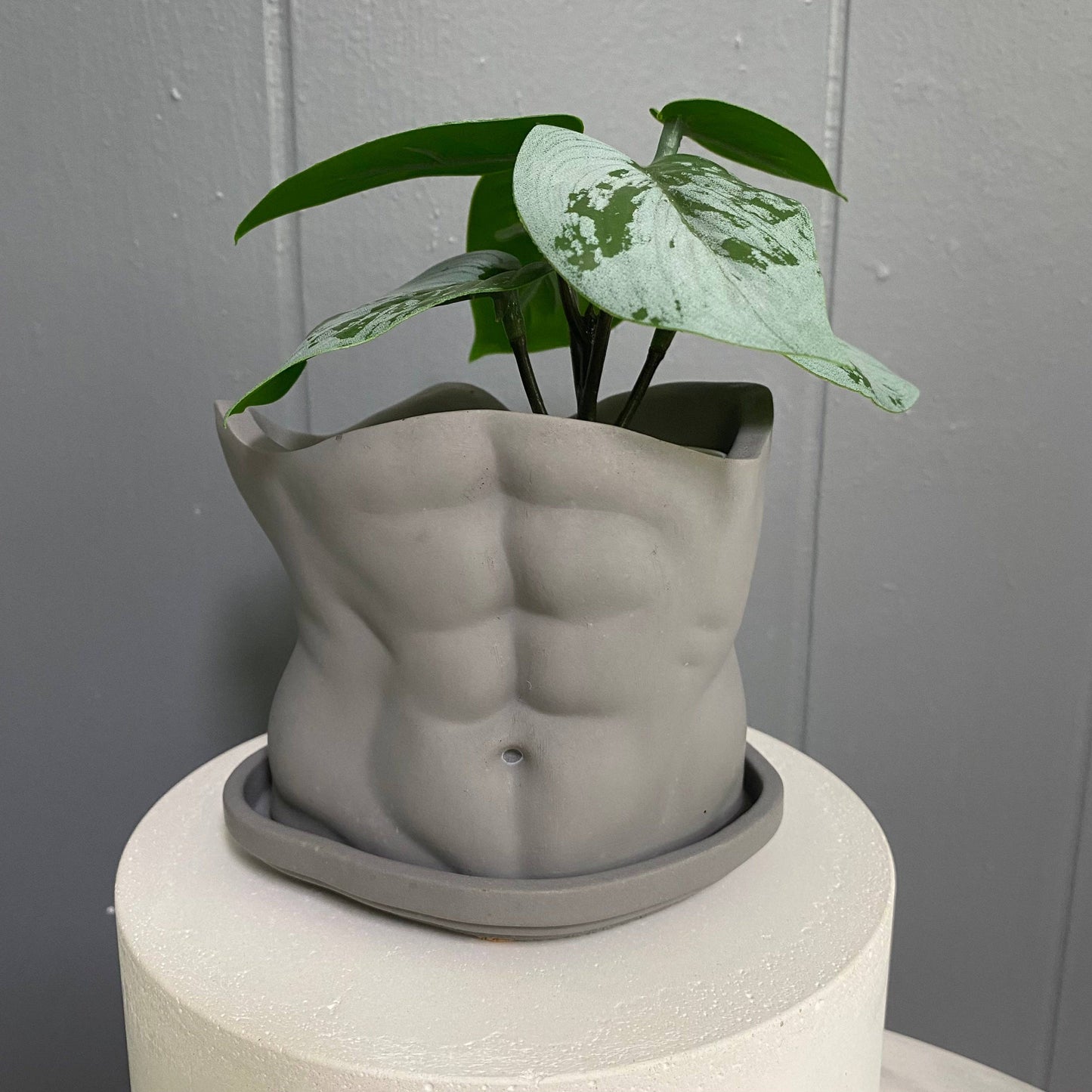 SIXPOT - Men Body Pot | Concrete Man Torso | Men Planter