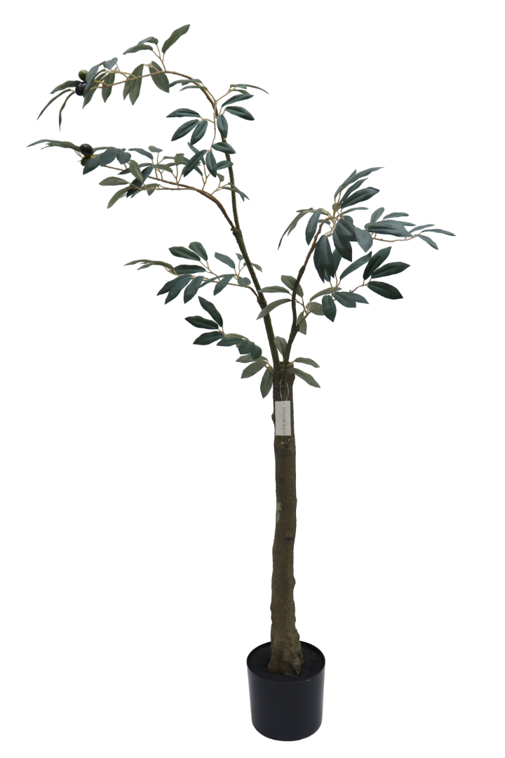 Grand Artisan Olive Tree | Natural Wood Trunk & Realistic 7'