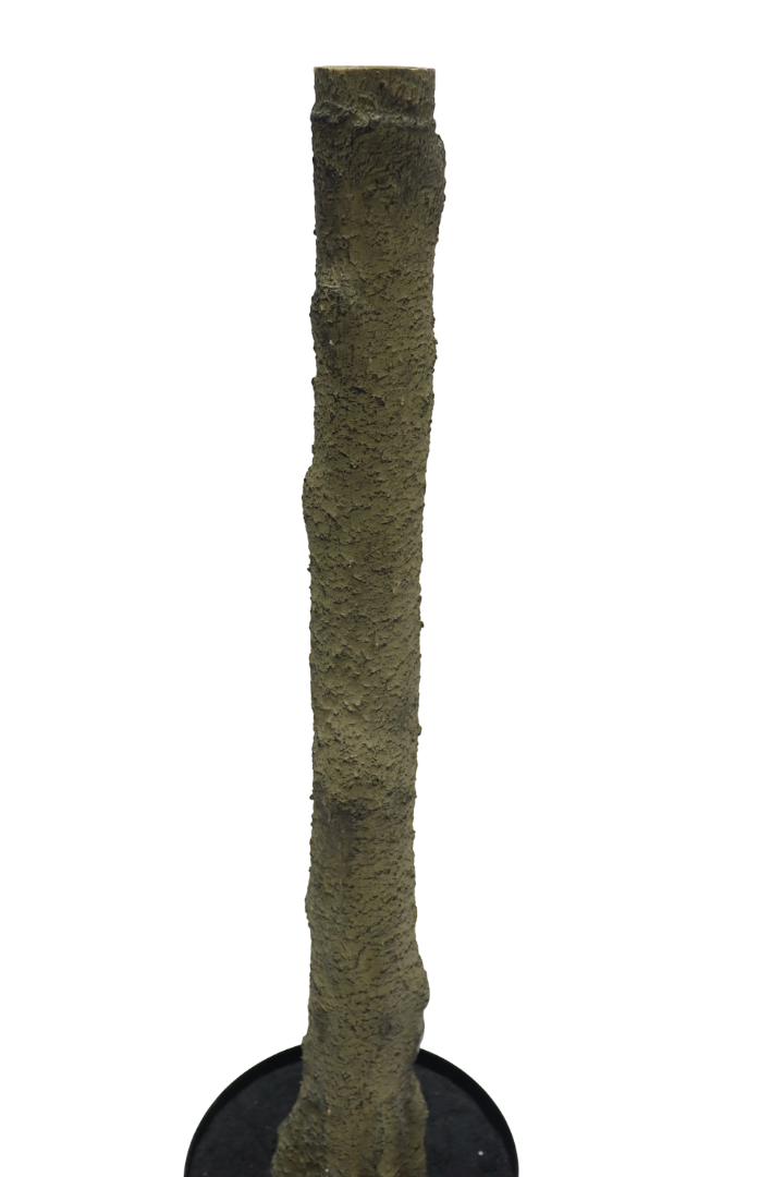 Artisan Olive Tree | Natural Wood Trunk & Mediterranean 6'